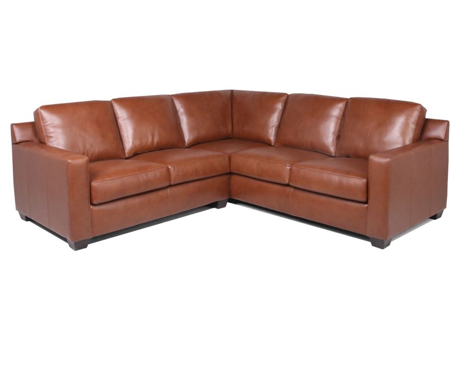 Fairview Leather 2 Pc. Sectional Furniture Row