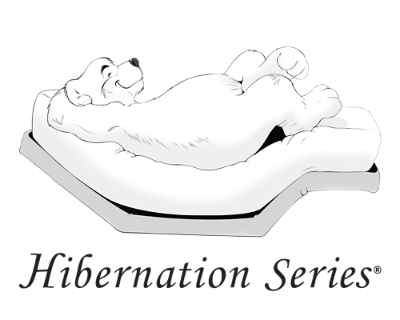 Hibernation Series Logo