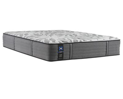 Sealy ultra plush 2024 pillow top mattress