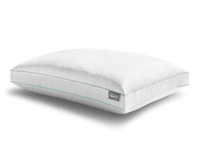 Tempurpedic pillow clearance 2 for 99