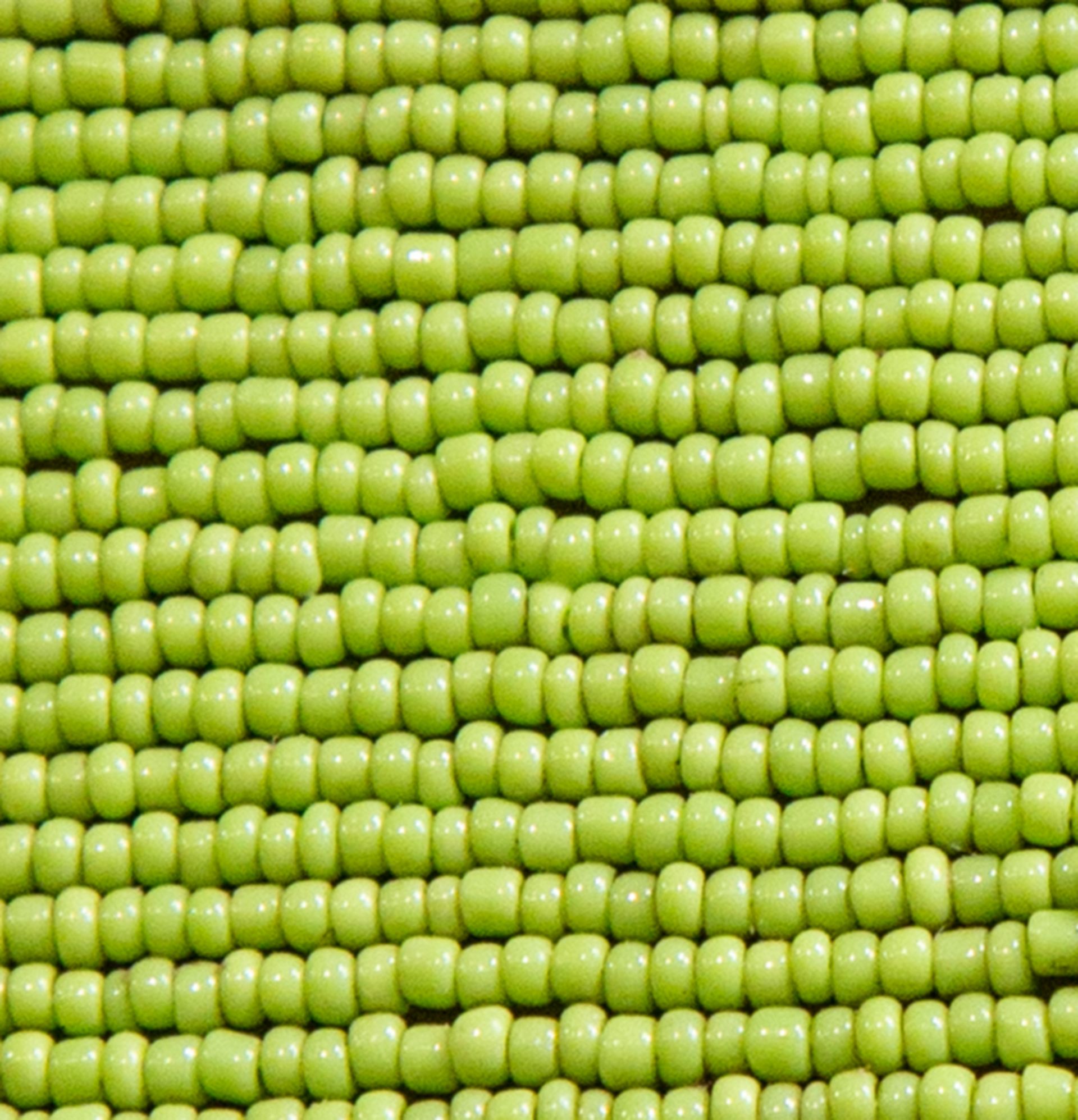 Green Beaded Background