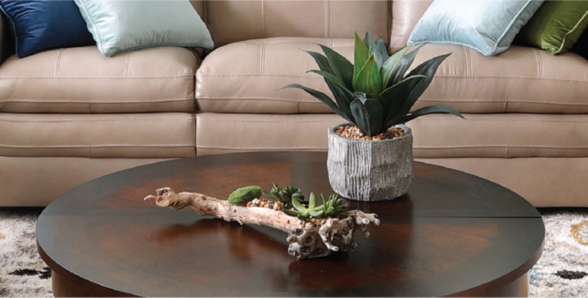 Plants and Home Decor