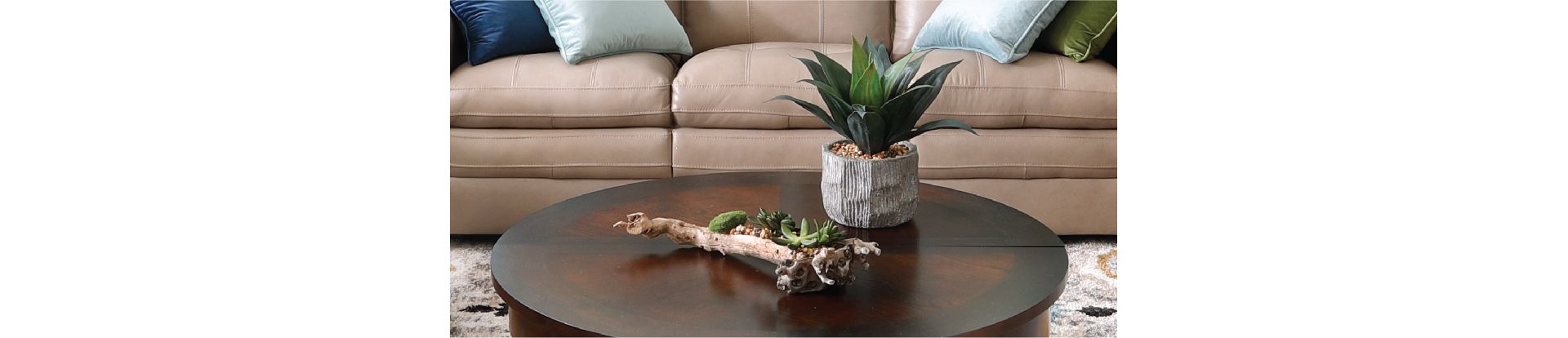 Plants and Home Decor